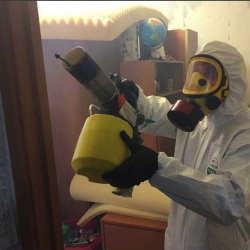 Уничтожение клопов в квартире. Павловская Слобода